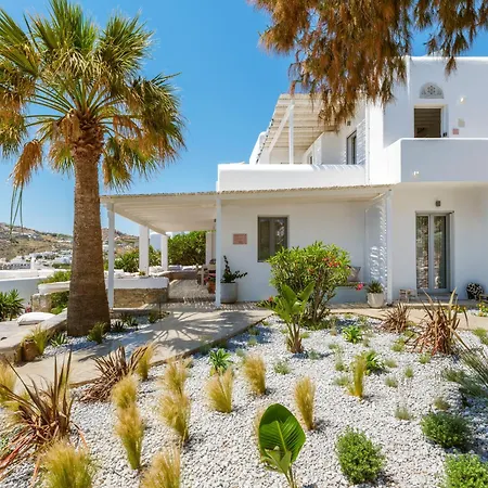 Mymykonos Ii Platis Yialos