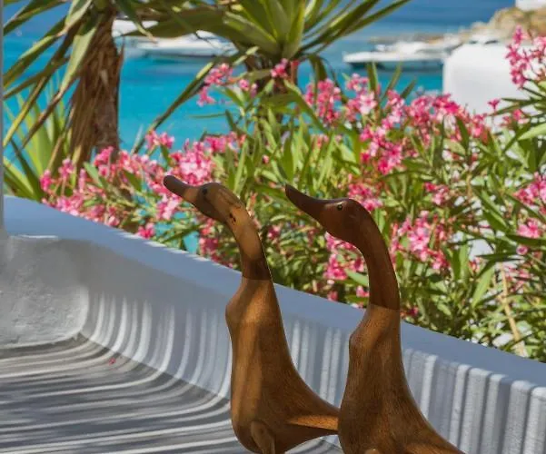 Mymykonos Ii 别墅 普拉迪斯亚罗斯